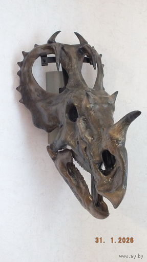 Череп динозавра, (Центрозавр)