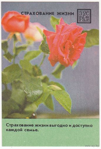 Календарик 1985 (117)