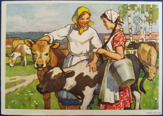 Телятницы. Худ. И.Воробьева. 1960 г.