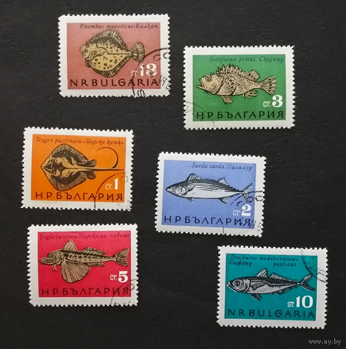 Болгария 1965 год. Рыбы. Морская фауна, полная серия из 6 марок #0084-Ф1P17