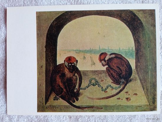 Брейгель. Две обезьянки