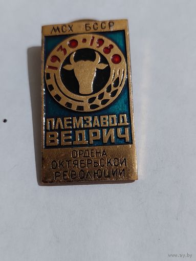 Значок " Племзавод Ведрич "
