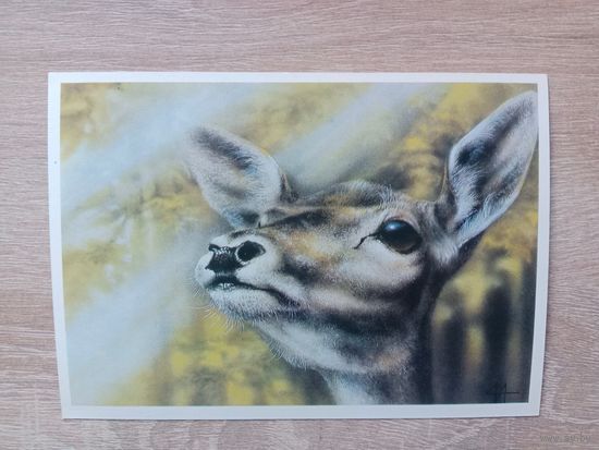 Исаков 1989 чистая