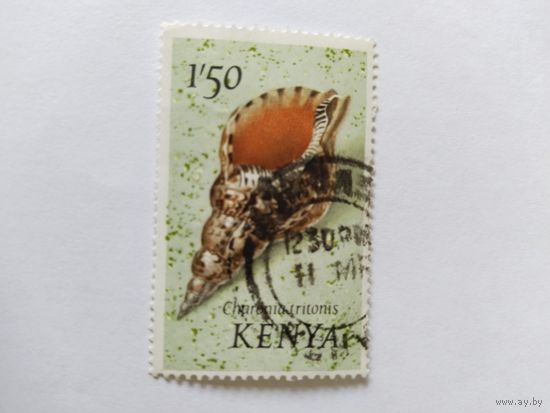 Кения 1971  ракушки
