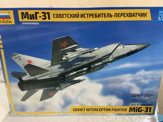 Сборная модель МиГ-31 ( Звезда)
