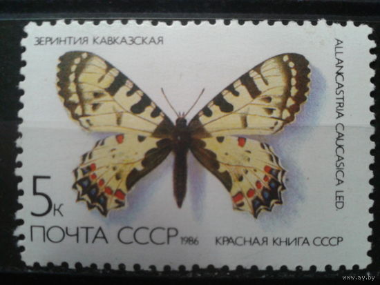1986 Бабочка Зеринтия**