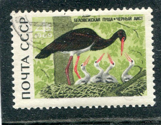 СССР 1969.. Беловежская пуща. Аист