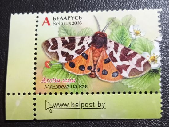 Лот 246 Беларусь (2016) Бабочки. Медведица Кая BY1153