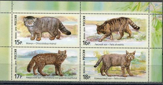 Россия. 2014г. Фауна. Дикие кошки.