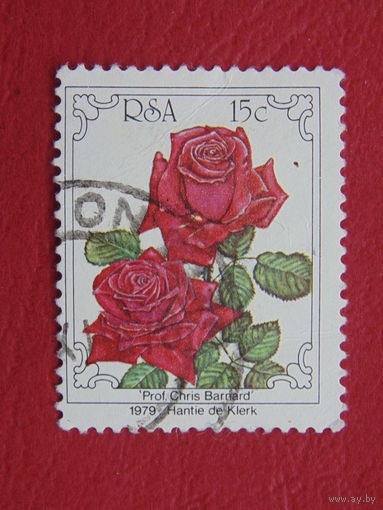 ЮАР 1979 г. Розы.