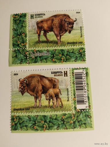 Беларусь 2024 2 м зубры