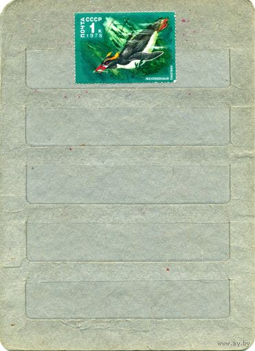 СССР, 1978, ЖИВОТНЫЙ МИР АНТАРКТИКИ, , 1м