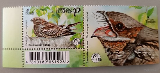 Обыкновенный козодой. Серия с купоном, 2021, Беларусь