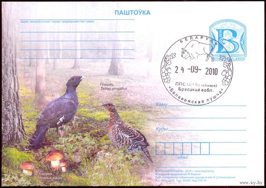 Беларусь 2010 ПК с "В" фауна птицы грибы гашение "Беловежская пуща" зубр