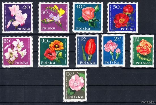 Польша серия 1964г. Флора Цветы   ** (С)