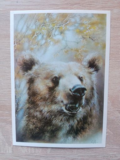 Исаков 1989, чистая