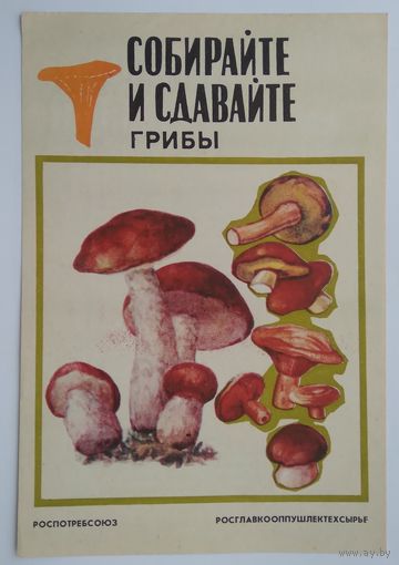 Буклет главкоопторгрекламы ,,собирайте и сдавайте грибы,,1984 г