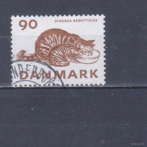 [745] Дания 1975. Фауна.Домашние кошки. Гашеная марка.