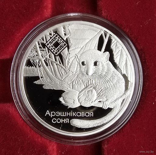 Заказник Свитязянский. Орешниковая соня. Арэшнiкавая соня 2023год. 1 рубль.