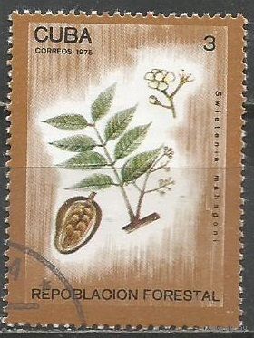 Куба. Махагоновое дерево.1975г. Mi#2066.