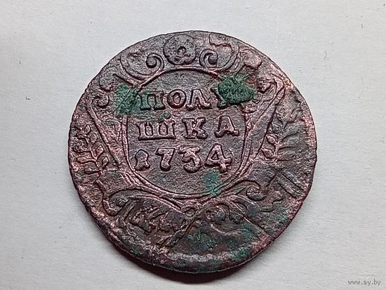 Полушка 1734 год.Гурт!