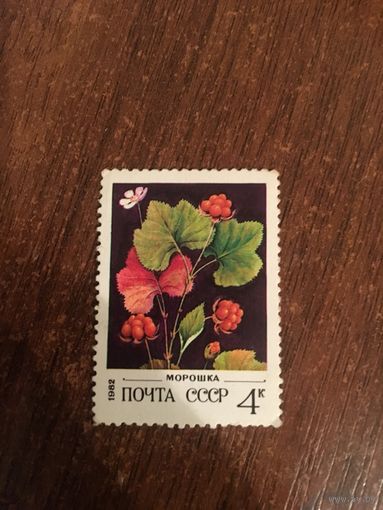 СССР 1982. Морошка
