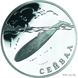 Красная книга: Сейвал (кит)