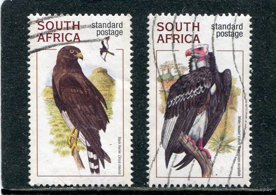ЮАР. Фауна. Хищные птицы