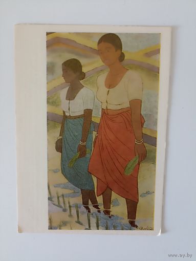 Мендис Посадка риса .1958г.