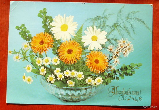 Поздравляю! Чистая. 1983 года. Круцко. 1783.