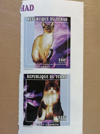 Марка, Чад, 1997, фауна, кошки