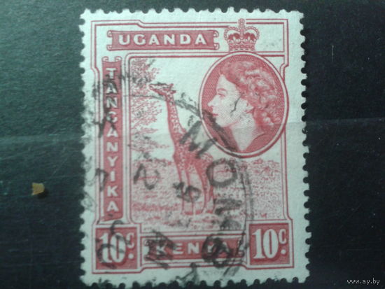 Кения Уганда Танганьика, 1954. Королева Елизавета II, жираф 10с