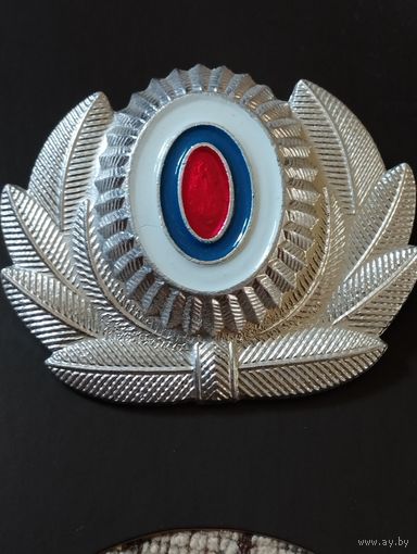 Кокарда РФ (8).