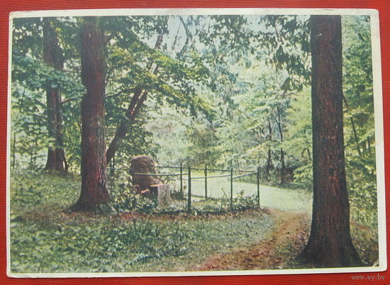 Каунас. Чистая. 1955 года. 828.