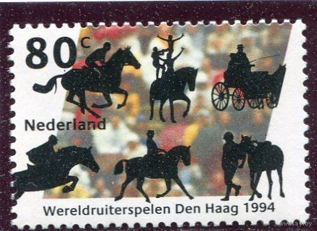 Нидерланды. Всемирные конные игры. Спортивные дисциплины