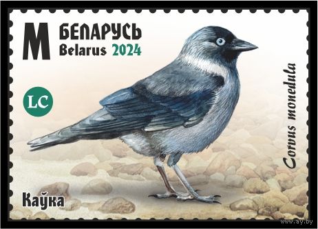 2024г Беларусь MNH  "Птицы Беларуси. Врановые"