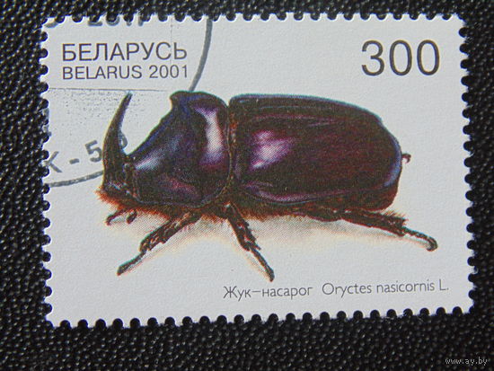 Беларусь 2001 г. Жук - носорог.