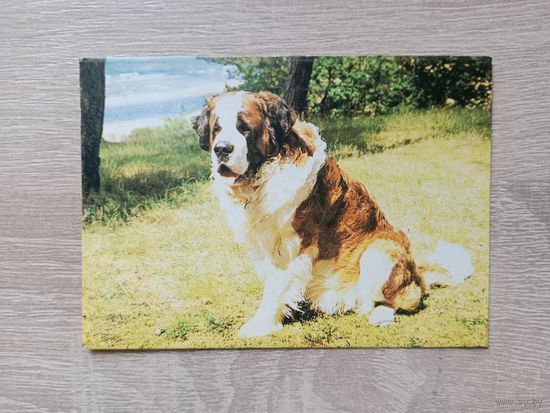 Календарик 1991