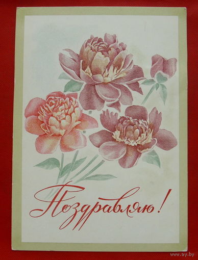 Поздравляю! Чистая. 1976 года. Лукьянов. 284.
