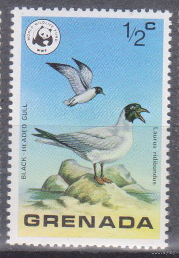 Птицы фауна Гренада 1978 год  лот 17 ЧИСТАЯ