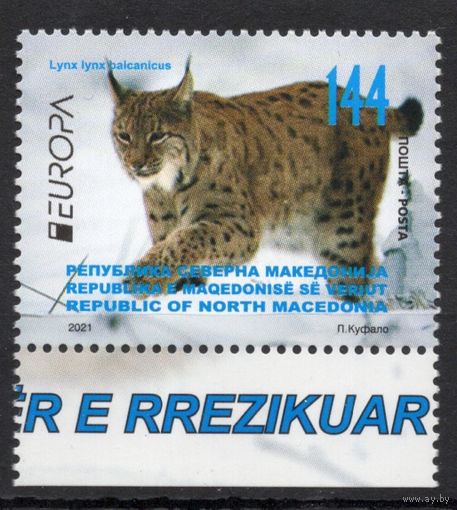 Македония 2021. EUROPA. Фауна рысь 1 марка (951)