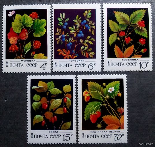 Марки СССР 1982 год Ягоды