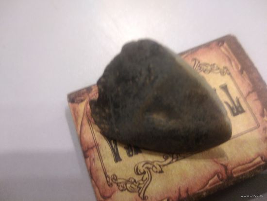 Накладка РИ. Находка