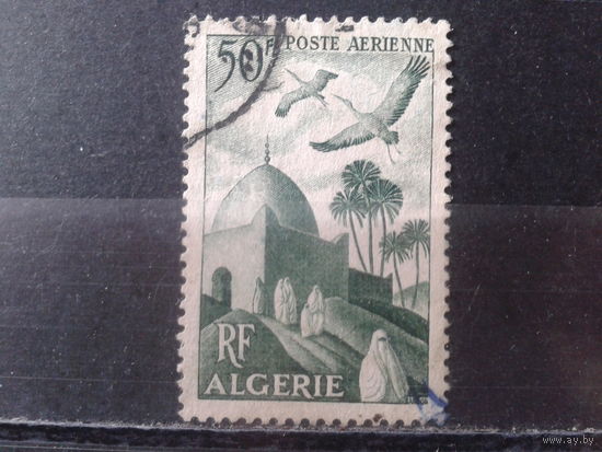 Алжир колония Франции 1949  Авиапочта, птицы