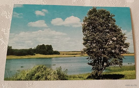 Открытка Река Сороть. Село Михайловское. Пушкинский государственный заповедник. 1969