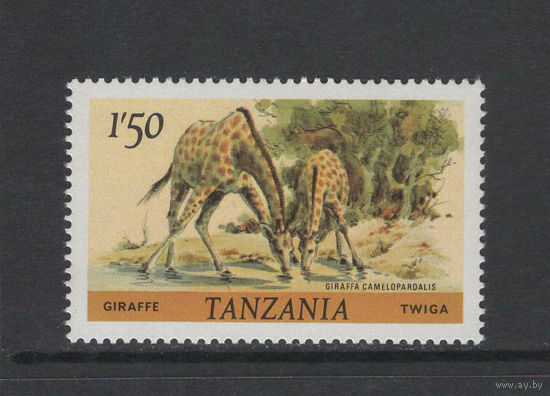 Танзания 1980** Жирафы Mi#168