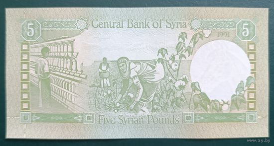 5 фунтов 1991 года - Сирия - UNC