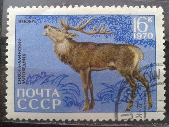 1970 Изюбрь