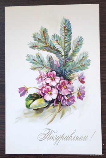Открытка Поздравляю, 1977 г, чистая