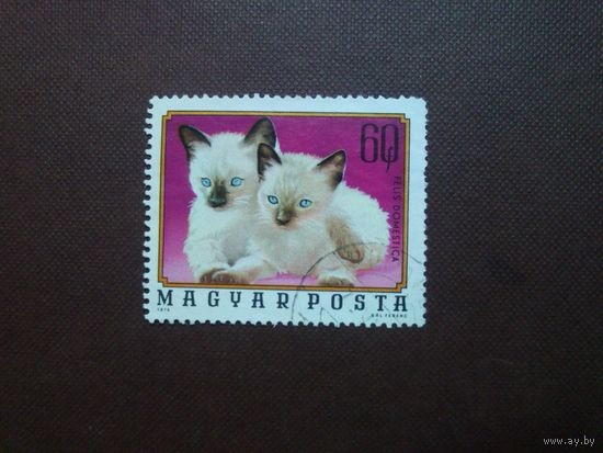 Венгрия 1974 г.Котята.